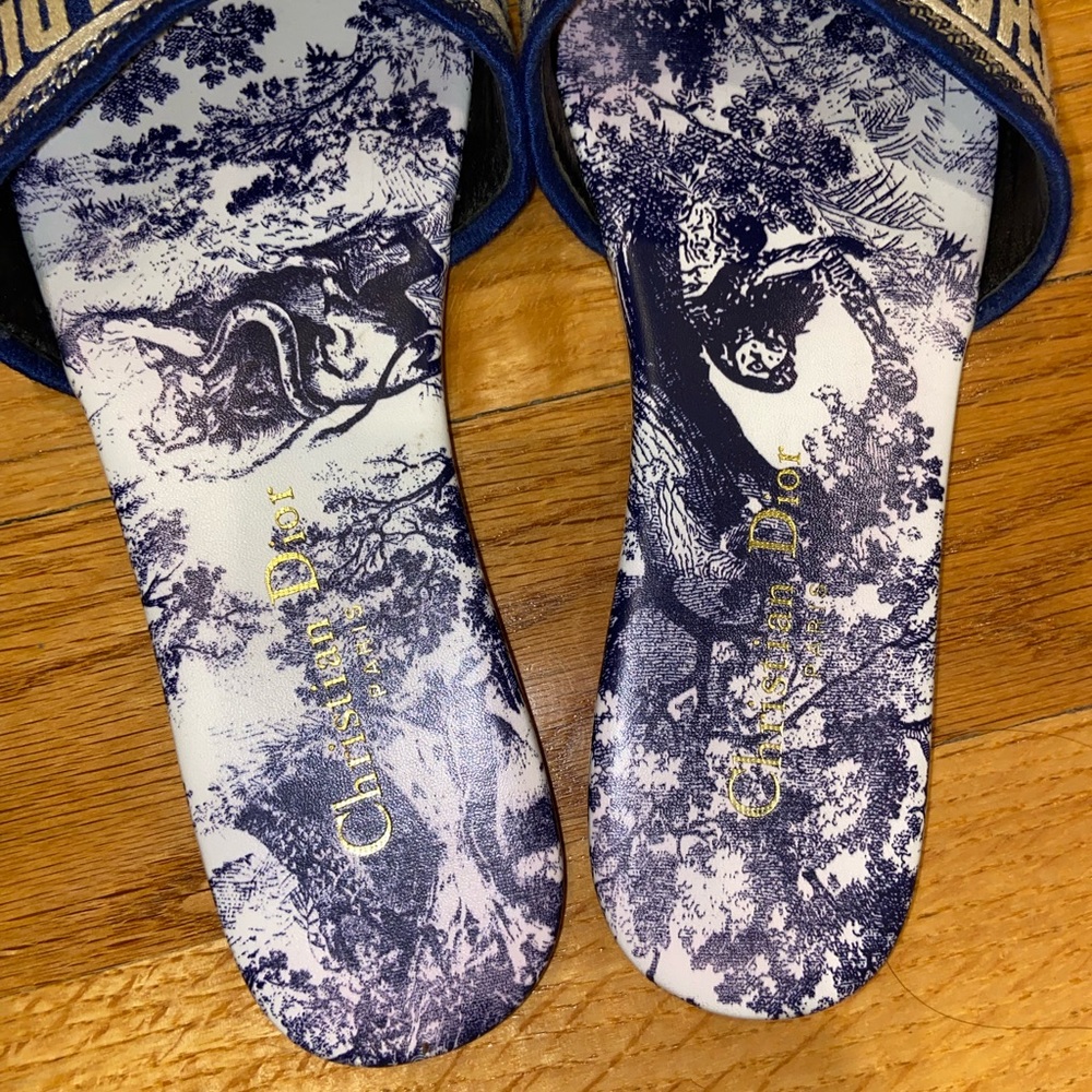 Blue slides - Picture 6 of 10